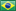 Portugu&ecirc;s do Brasil